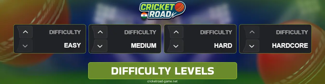 Round Options in Cricket Road for Indian Players
