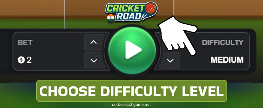 Select your difficulty level in Cricket Road India