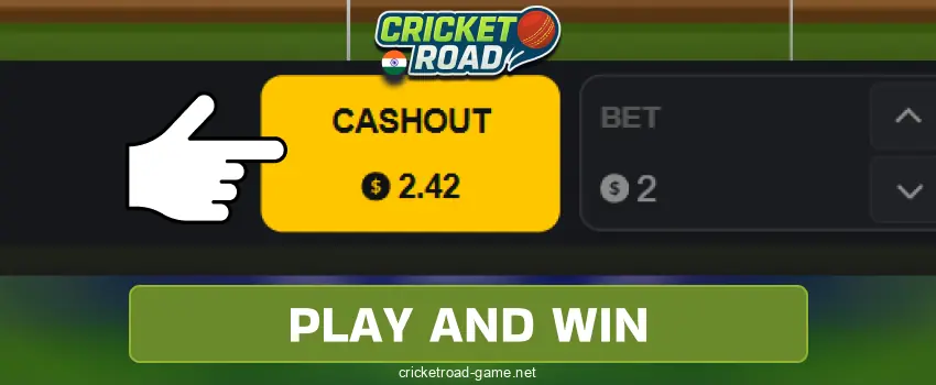 Cashout in Cricket Road IN
